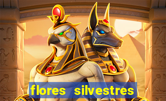 flores silvestres desbravadores desbravadores 25